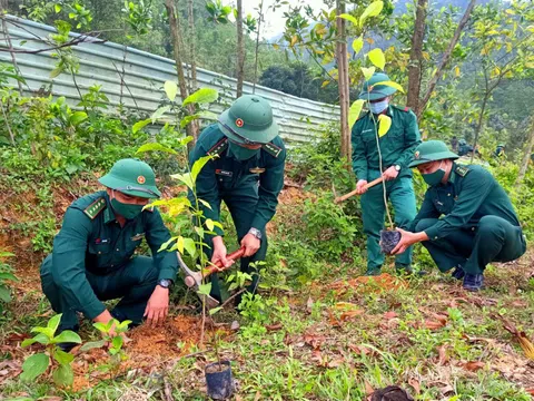 TP.Đà Nẵng: Hàng ngàn cây xanh ươm mầm từ phát động Tết trồng cây
