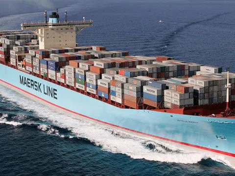 Cục Hàng hải kiểm tra giá vận chuyển container của 11 hãng tàu ngoại