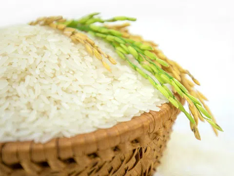 Giá lúa gạo hôm nay ngày 19/1: Giá gạo trong nước tăng mạnh