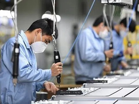 Công ty CP Nhiệt điện Ninh Bình: Nâng cao năng lực sản xuất kinh doanh gắn với bảo vệ môi trường