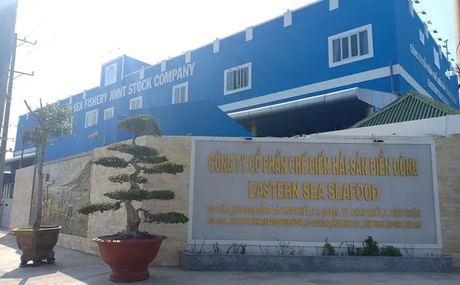 Công ty TNHH Xây Dựng Và Hải Sản An Toàn – đưa hải sản Việt vươn tầm thế giới