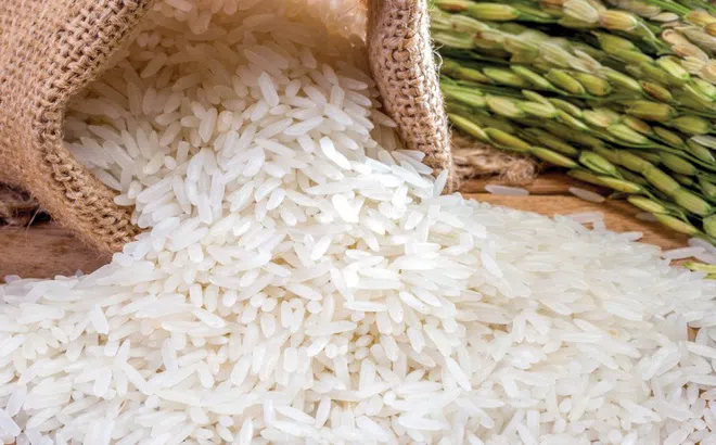 Giá lúa gạo ngày 3/2: Giá gạo xuất khẩu ở mức cao